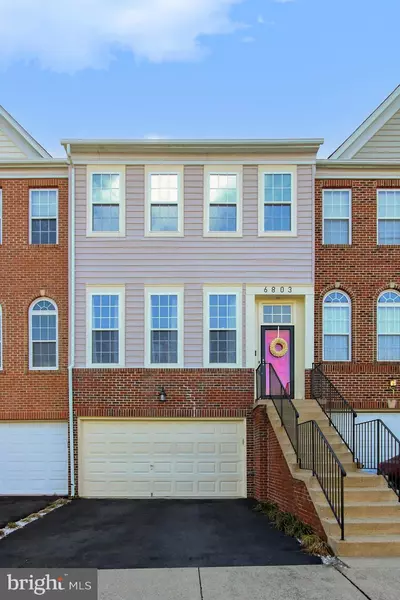 6803 OREGANO LN, Alexandria, VA 22310