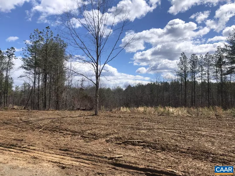 0 GEORGIA CREEK RD #LOT 67, Scottsville, VA 24590