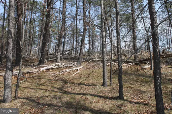 Springfield, WV 26763,LOT 24 SHORT HOLLOW ROAD