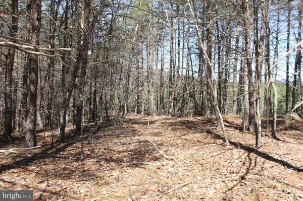 Springfield, WV 26763,LOT 23 SHORT HOLLOW ROAD