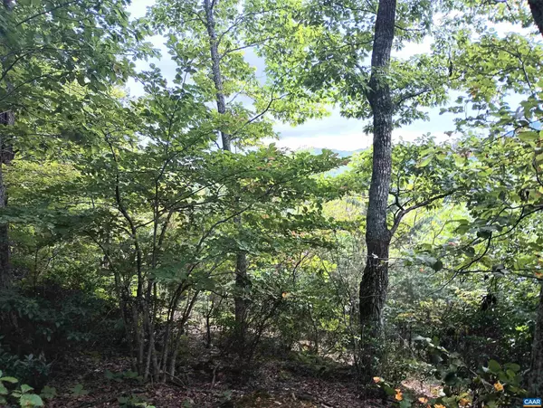 Nellysford, VA 22958,LOT 1 ROCKFISH HEIGHTS LN #1