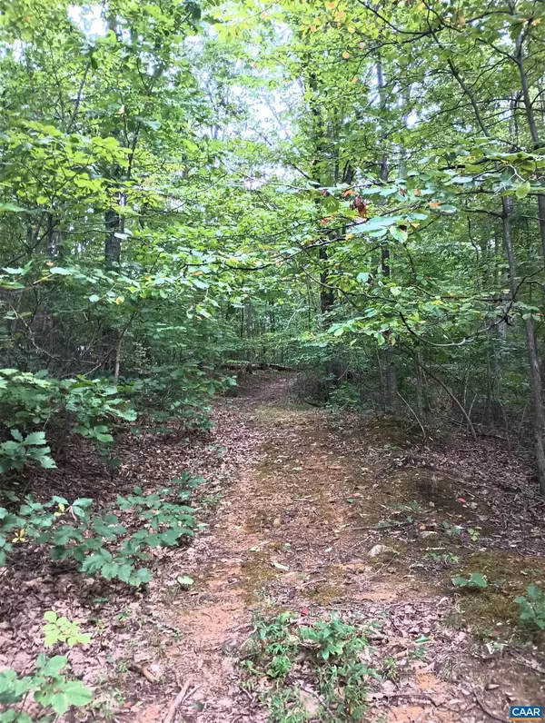 Nellysford, VA 22958,LOT 1 ROCKFISH HEIGHTS LN #1