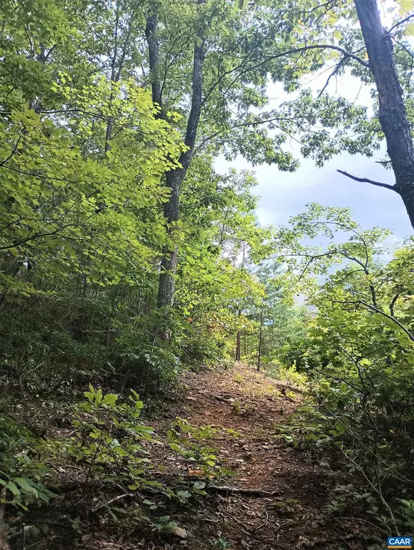 LOT 1 ROCKFISH HEIGHTS LN #1, Nellysford, VA 22958