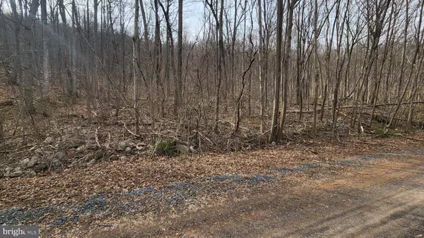 Paw Paw, WV 25434,LOT 19B DOVE DRIVE