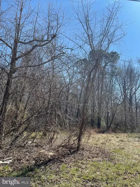 LOT 3 POWHATAN BEACH RD, Pasadena, MD 21122