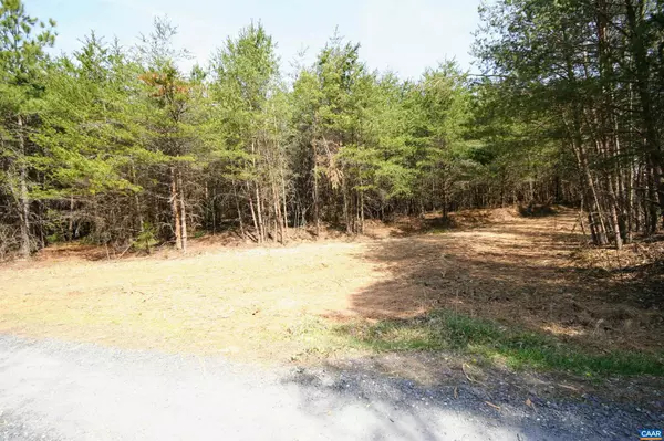 Wingina, VA 24599,TBA LOT 3 MIDLAND RD #3