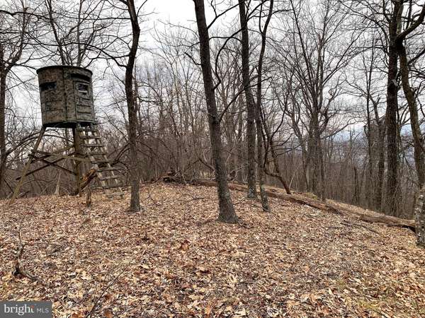 163.5 ACRES GEORGE BROWN RD, Paw Paw, WV 25434