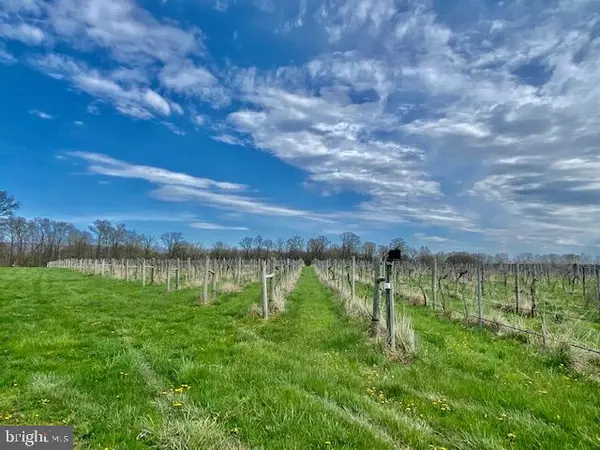 Upperville, VA 20184,WELBOURNE