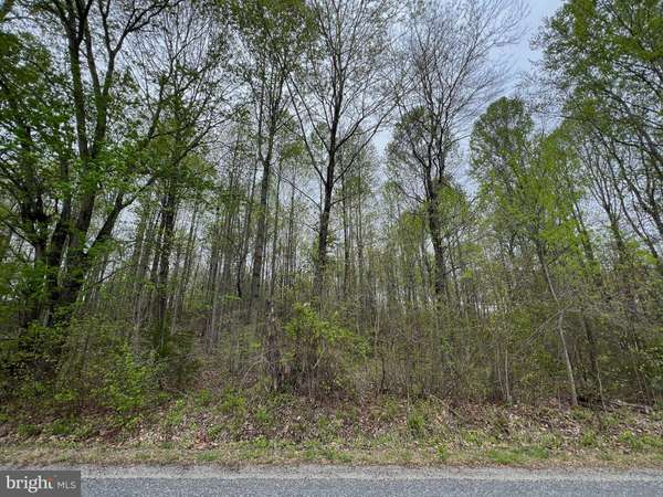 Orange, VA 22960,LOT 16 WINDWAY DRIVE