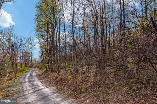 Bluemont, VA 20135,FOREST HILL LANE