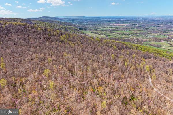 Bluemont, VA 20135,FOREST HILL LANE