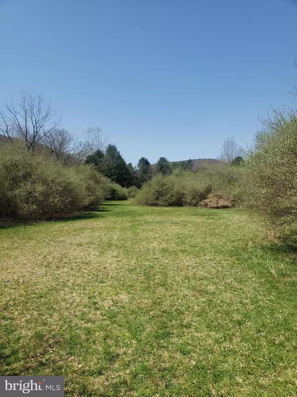 LOT 42 THORN BOTTOM RD., Lost River, WV 26810