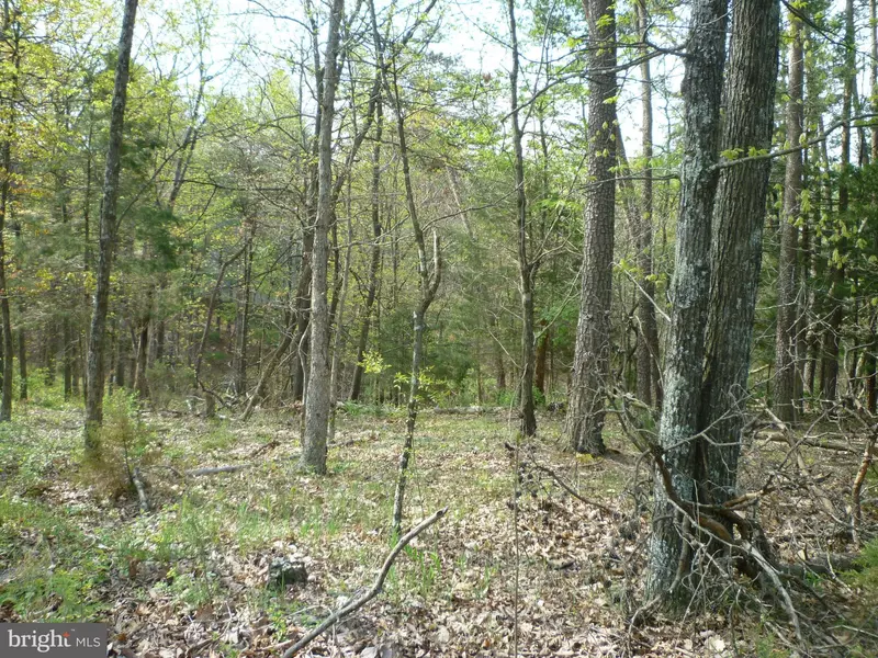 LOT # 2 SPITZ LANE, Basye, VA 22810