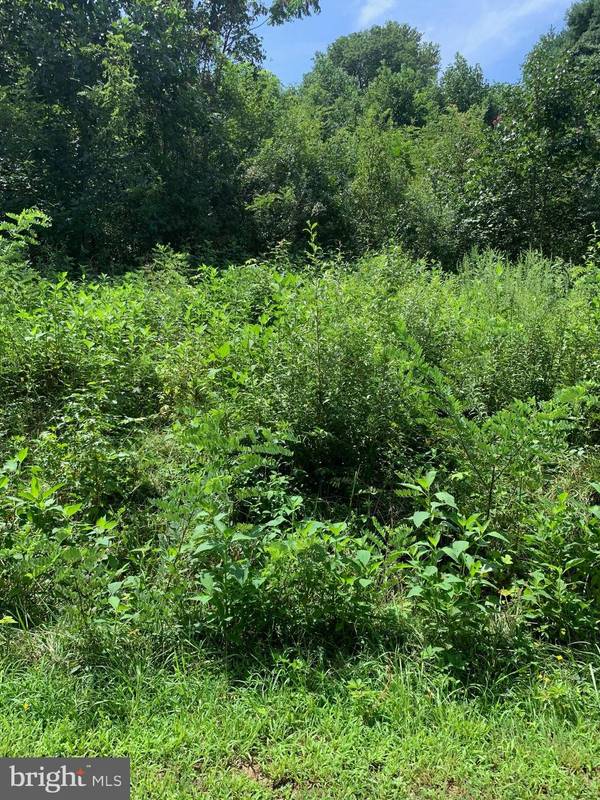 LOT 59 AMERICAN DR, Montross, VA 22520