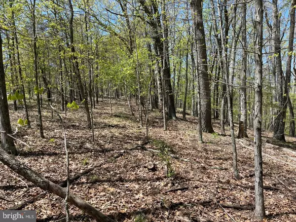 Berkeley Springs, WV 25411,LOT 20 KEY PINE LANE