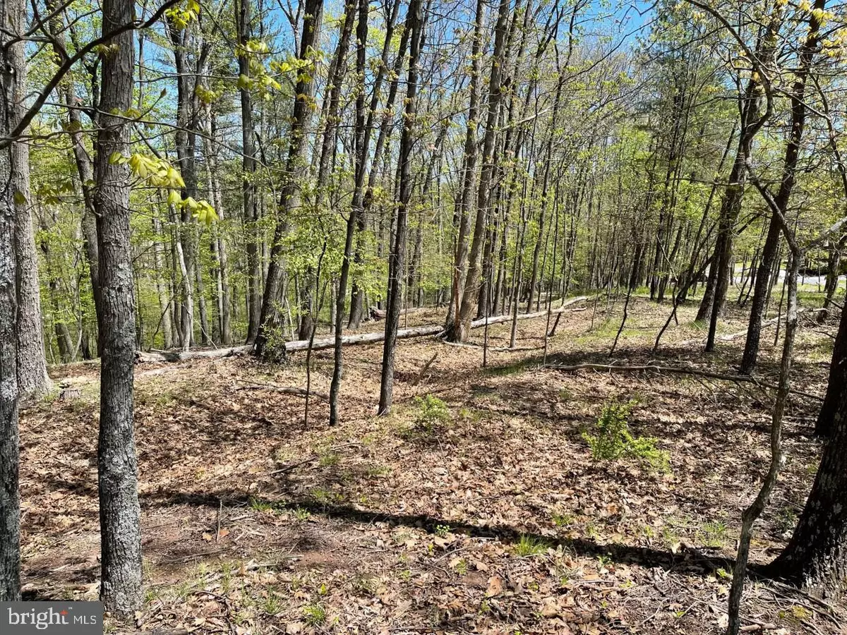 Berkeley Springs, WV 25411,LOT 20 KEY PINE LANE