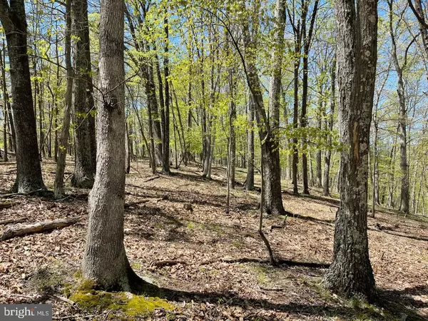 Berkeley Springs, WV 25411,LOT 20 KEY PINE LANE