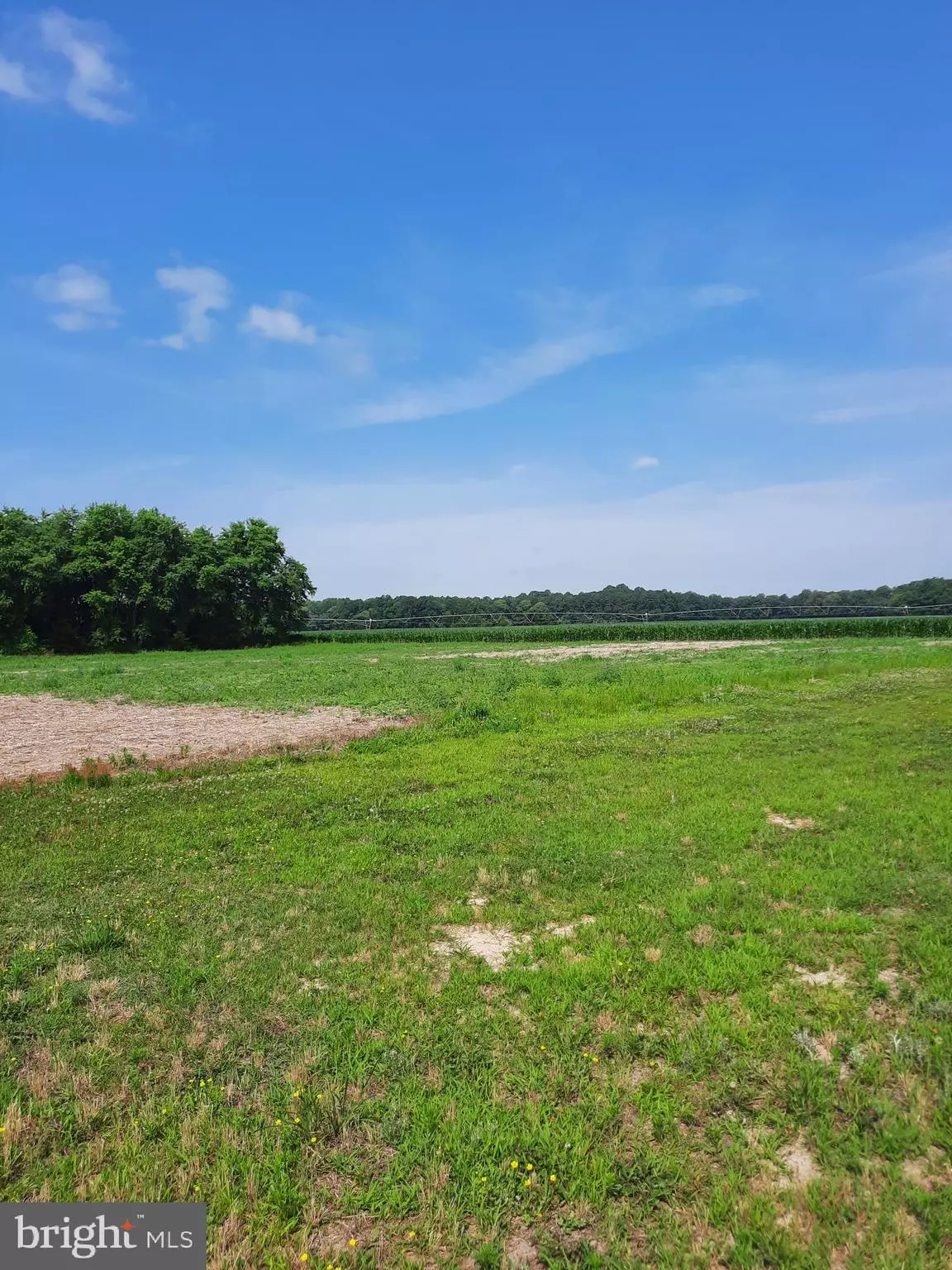 Milton, DE 19968,LOT F HARBESON ROAD