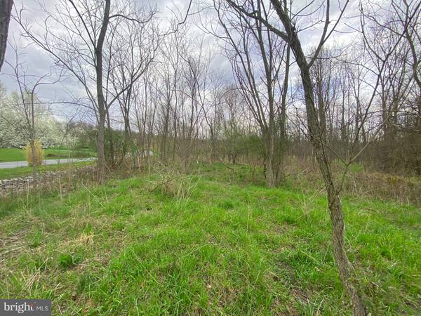 Everett, PA 15537,LOT 10 MILL RIDGE ROAD