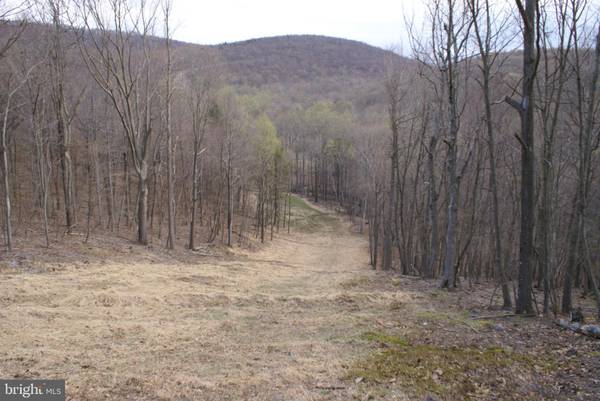Upperstrasburg, PA 17265,13361 UPPER STRASBURG #LOT 6