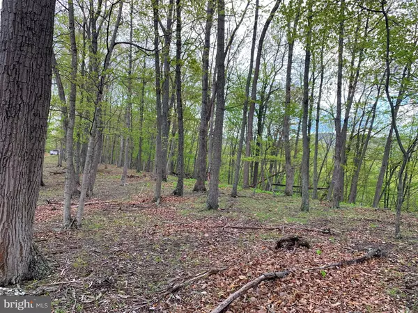 Paw Paw, WV 25434,LOT 187 CROSSING VIEW DRIVE