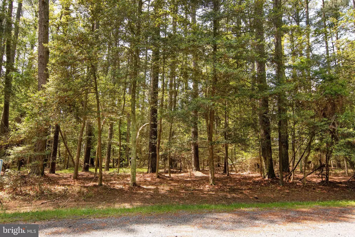 Greenbackville, VA 23356,LOT 537 SKIPPER CT