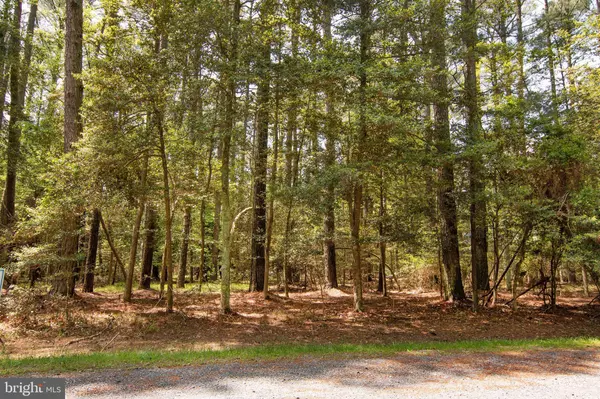 LOT 537 SKIPPER CT, Greenbackville, VA 23356