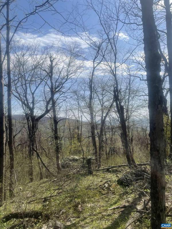 LOT 17 WOODS GAP RD, Crozet, VA 22932