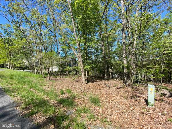 Cross Junction, VA 22625,120 DOWNHILL CIR