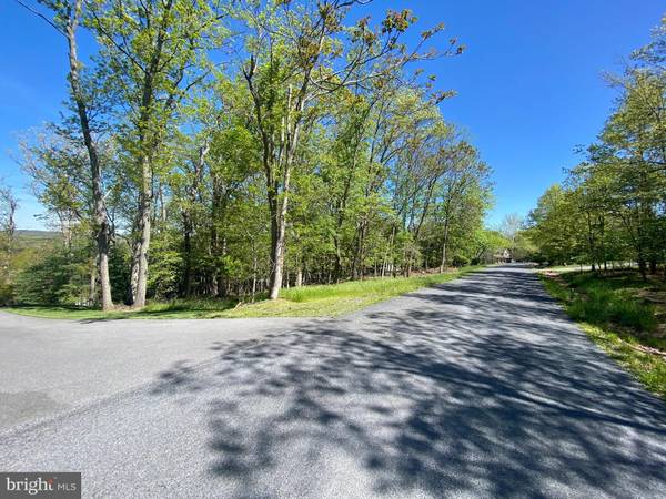 Cross Junction, VA 22625,120 DOWNHILL CIR