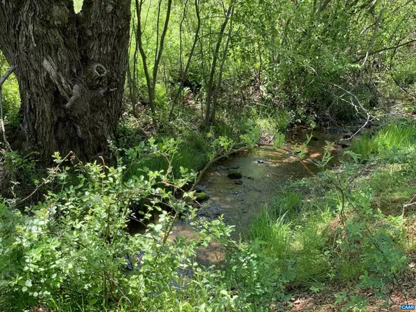 Etlan, VA 22719,TBD WHIPPOORWILL RD