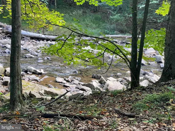 Elk Garden, WV 26717,ABRAMS CREEK - OAKMONT, WV