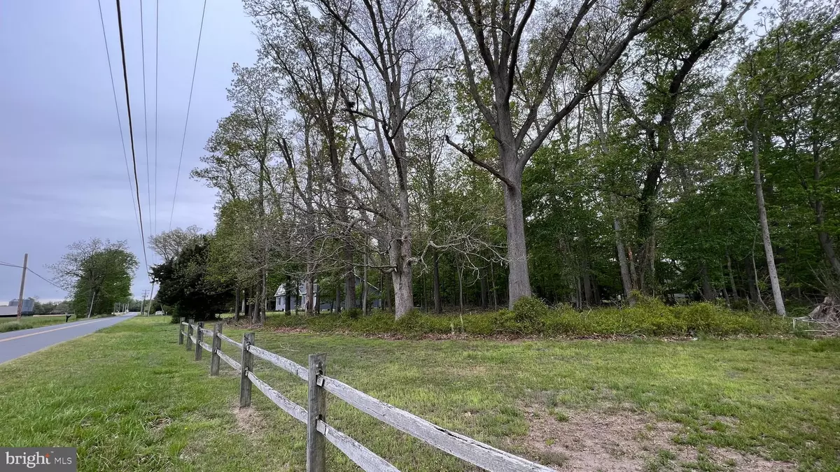 Dagsboro, DE 19939,LOT 1 PINEY NECK RD