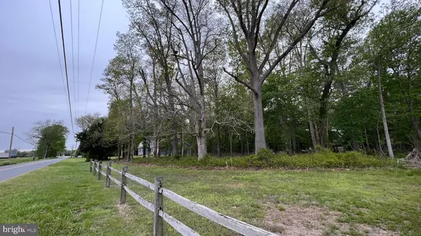 LOT 1 PINEY NECK RD, Dagsboro, DE 19939