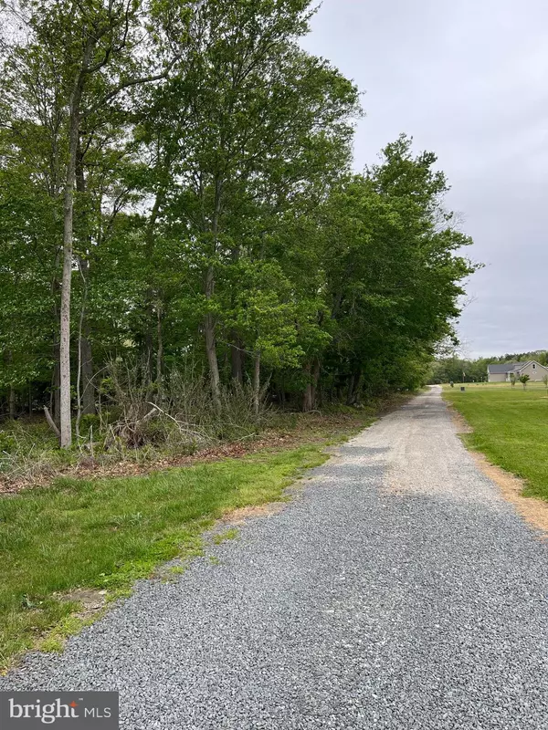 Dagsboro, DE 19939,LOT 1 PINEY NECK RD