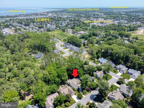 Lewes, DE 19958,9 BLUE HERON DR