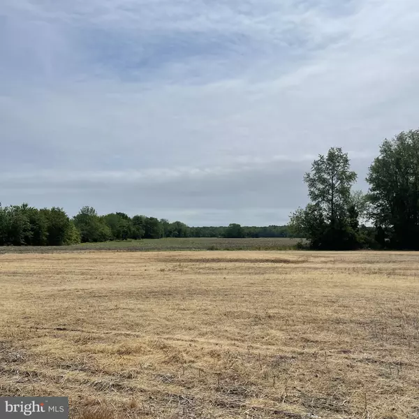 LOT 1 ROXANA RD, Selbyville, DE 19975