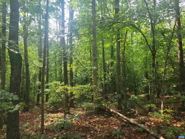 Shipman, VA 22971,LOT 1 PINEY MTN GLADE RD #24 AC