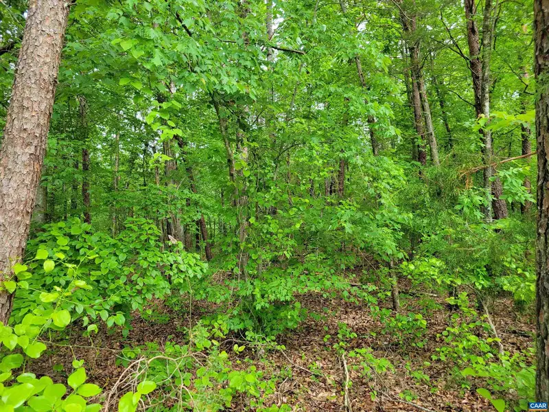 LOT 1 PINEY MTN GLADE RD #24 AC, Shipman, VA 22971