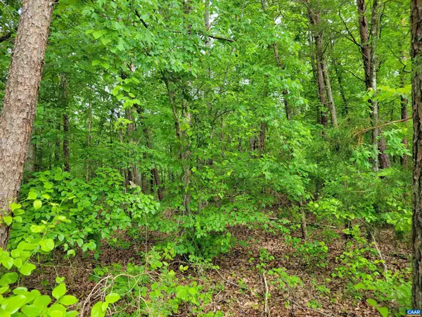 LOT 1 PINEY MTN GLADE RD #24 AC, Shipman, VA 22971