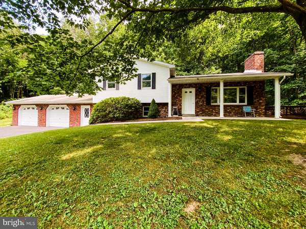 19505 BUSKIRK HOLLOW RD, Midland, MD 21542