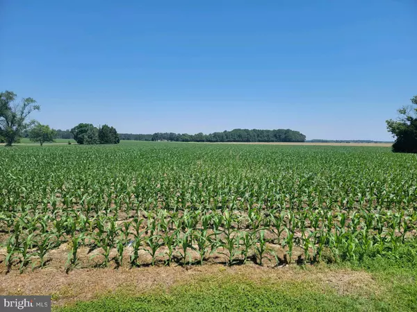 Ellendale, DE 19941,LOT HUMMINGBIRD RD