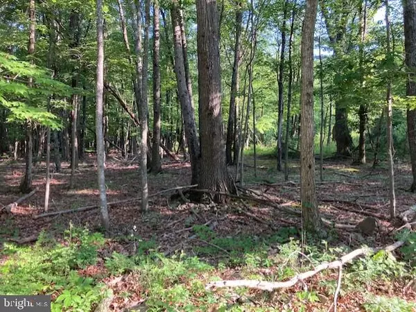 Orkney Springs, VA 22845,TBD ORKNEY SPRINGS ROAD