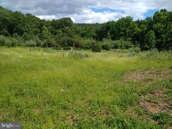 LOT 3 OLD LIMEKILN LN, Newport, PA 17074