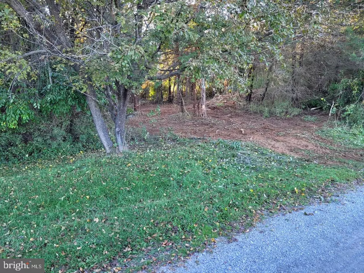 Boyce, VA 22620,LOT 19 BURCH LANE