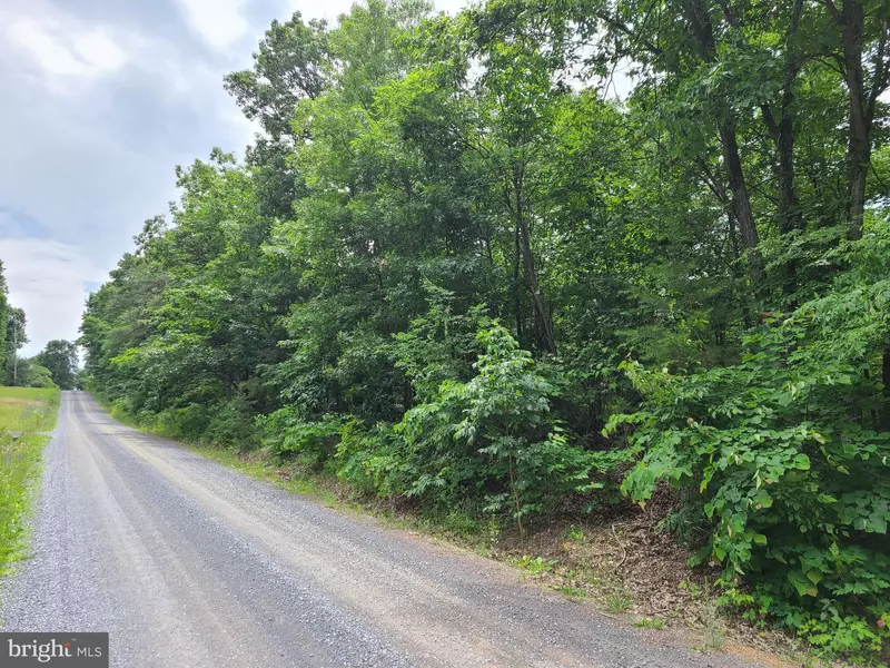 LOT 21 MAHLON, Winchester, VA 22603