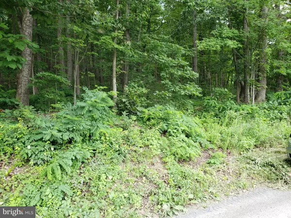 LOT 362 DRUMMER HILL RD, Front Royal, VA 22630