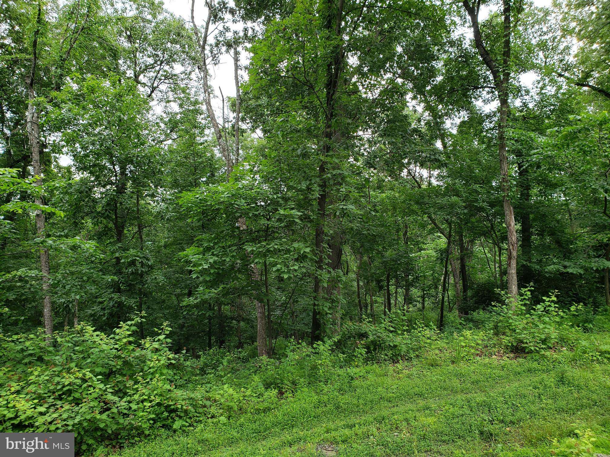 LOT 377 KITS CT, Front Royal, VA 22630