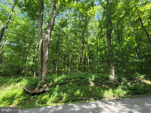 OLD MORGANTOWN RD, Friendsville, MD 21531