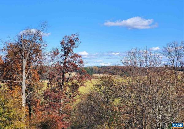 LOT 9 FREDERICKSBURG RD #9, Ruckersville, VA 22968